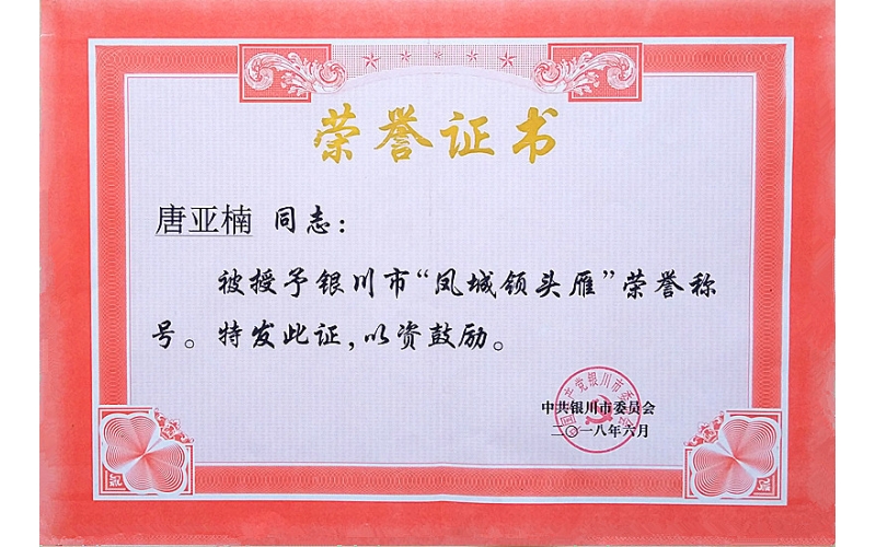 唐亞楠被授予銀川市“鳳城領(lǐng)頭雁”榮譽(yù)稱號(hào)